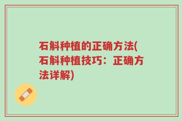 石斛种植的正确方法(石斛种植技巧:正确方法详解)-第1张图片-超越 石斛种植的正确方法(石斛种植技巧:正确方法详解)-第1张图片-超越