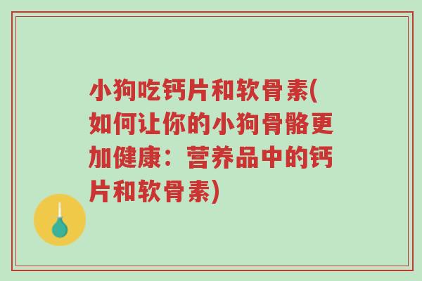 小狗吃钙片和软骨素(如何让你的小狗骨骼更加健康:营养品中的钙片和软骨素)-第1张图片-超越 小狗吃钙片和软骨素(如何让你的小狗骨骼更加健康:营养品中的钙片和软骨素)-第1张图片-超越