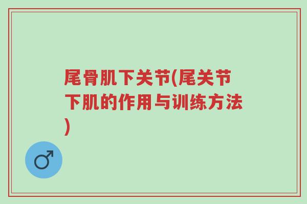尾骨肌下关节(尾关节下肌的作用与训练方法)-第1张图片-超越 尾骨肌下关节(尾关节下肌的作用与训练方法)-第1张图片-超越