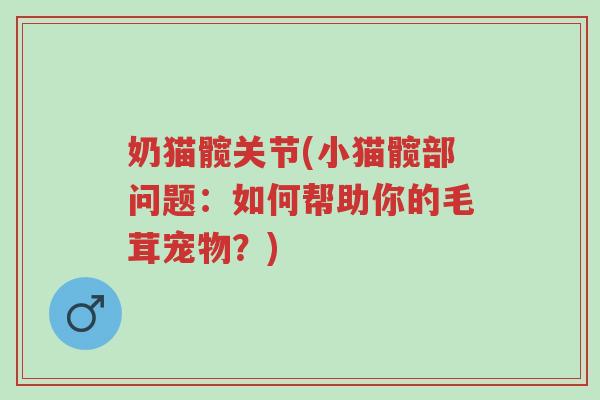 奶猫髋关节(小猫髋部问题:如何帮助你的毛茸宠物?)-第1张图片-超越 奶猫髋关节(小猫髋部问题:如何帮助你的毛茸宠物?)-第1张图片-超越