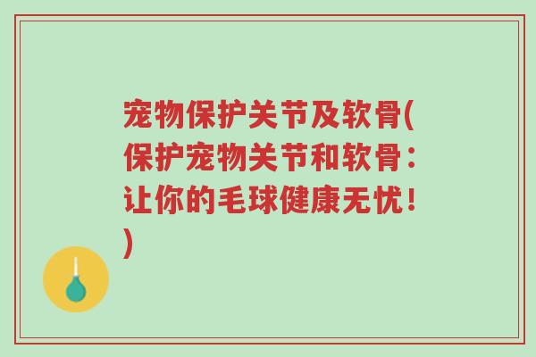 宠物保护关节及软骨(保护宠物关节和软骨:让你的毛球健康无忧!)-第1张图片-超越 宠物保护关节及软骨(保护宠物关节和软骨:让你的毛球健康无忧!)-第1张图片-超越