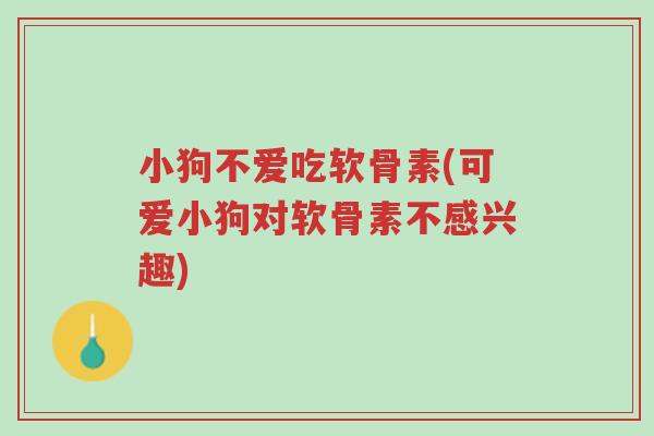 小狗不爱吃软骨素(可爱小狗对软骨素不感兴趣)-第1张图片-超越 小狗不爱吃软骨素(可爱小狗对软骨素不感兴趣)-第1张图片-超越