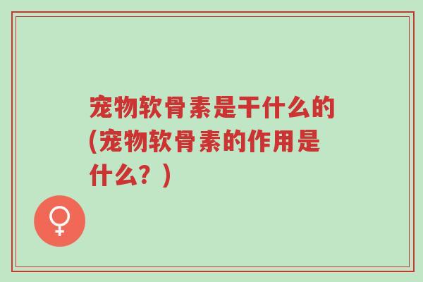 宠物软骨素是干什么的(宠物软骨素的作用是什么?)-第1张图片-超越 宠物软骨素是干什么的(宠物软骨素的作用是什么?)-第1张图片-超越