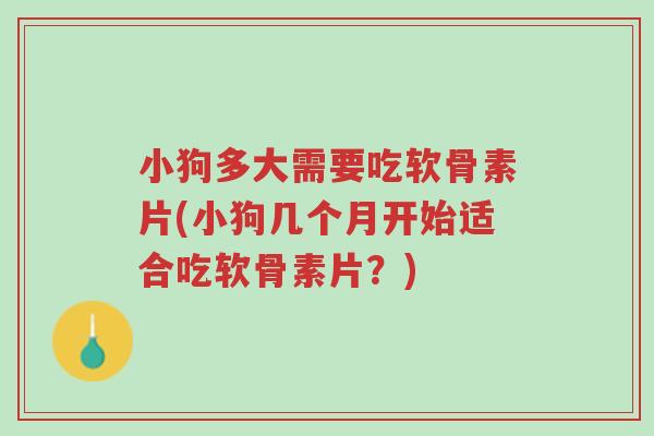 小狗多大需要吃软骨素片(小狗几个月开始适合吃软骨素片？)-第1张图片-超越