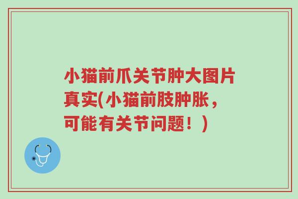 小猫前爪关节肿大图片真实(小猫前肢肿胀,可能有关节问题!)-第1张图片-超越 小猫前爪关节肿大图片真实(小猫前肢肿胀,可能有关节问题!)-第1张图片-超越