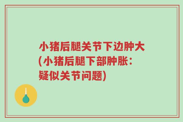 小猪后腿关节下边肿大(小猪后腿下部肿胀:疑似关节问题)-第1张图片-超越 小猪后腿关节下边肿大(小猪后腿下部肿胀:疑似关节问题)-第1张图片-超越