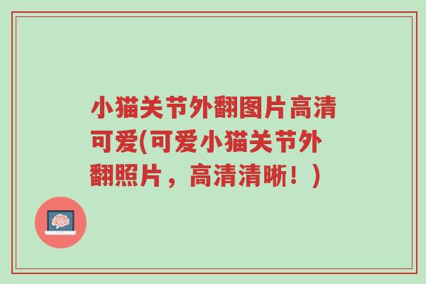 小猫关节外翻图片高清可爱(可爱小猫关节外翻照片，高清清晰！)-第1张图片-超越