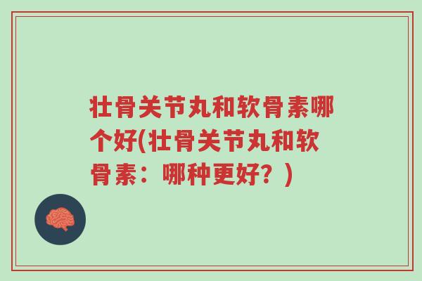 壮骨关节丸和软骨素哪个好(壮骨关节丸和软骨素：哪种更好？)-第1张图片-超越