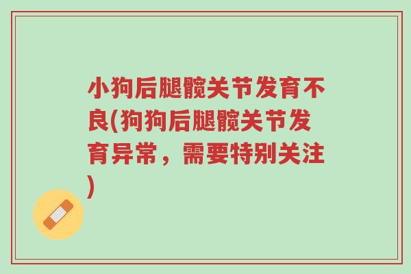 小狗后腿髋关节发育不良(狗狗后腿髋关节发育异常，需要特别关注)-第1张图片-超越