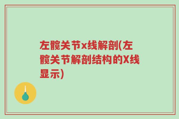左髋关节x线解剖(左髋关节解剖结构的X线显示)-第1张图片-超越 左髋关节x线解剖(左髋关节解剖结构的X线显示)-第1张图片-超越