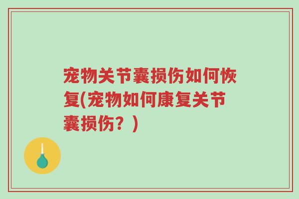 宠物关节囊损伤如何恢复(宠物如何康复关节囊损伤?)-第1张图片-超越 宠物关节囊损伤如何恢复(宠物如何康复关节囊损伤?)-第1张图片-超越