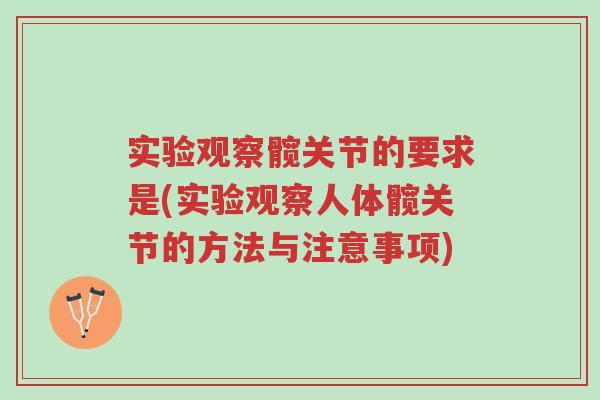 实验观察髋关节的要求是(实验观察人体髋关节的方法与注意事项)-第1张图片-超越 实验观察髋关节的要求是(实验观察人体髋关节的方法与注意事项)-第1张图片-超越