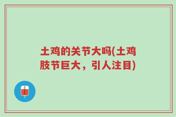 土鸡的关节大吗(土鸡肢节巨大,引人注目)-第1张图片-超越 土鸡的关节大吗(土鸡肢节巨大,引人注目)-第1张图片-超越