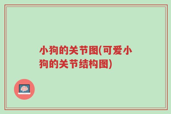 小狗的关节图(可爱小狗的关节结构图)-第1张图片-超越 小狗的关节图(可爱小狗的关节结构图)-第1张图片-超越