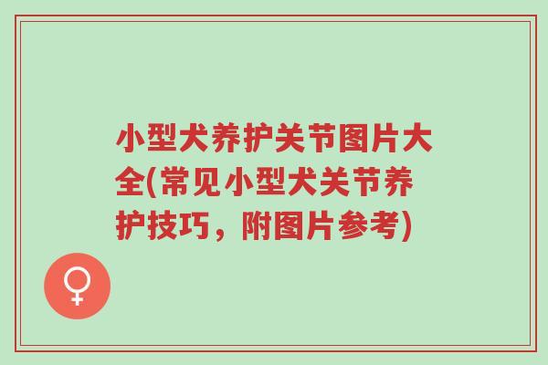 小型犬养护关节图片大全(常见小型犬关节养护技巧,附图片参考)-第1张图片-超越 小型犬养护关节图片大全(常见小型犬关节养护技巧,附图片参考)-第1张图片-超越