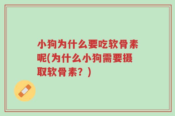 小狗为什么要吃软骨素呢(为什么小狗需要摄取软骨素?)-第1张图片-超越 小狗为什么要吃软骨素呢(为什么小狗需要摄取软骨素?)-第1张图片-超越