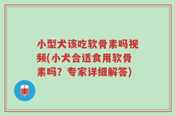 小型犬该吃软骨素吗视频(小犬合适食用软骨素吗?专家详细解答)-第1张图片-超越 小型犬该吃软骨素吗视频(小犬合适食用软骨素吗?专家详细解答)-第1张图片-超越