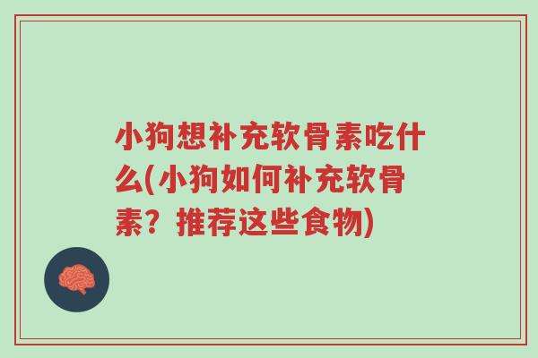 小狗想补充软骨素吃什么(小狗如何补充软骨素？推荐这些食物)-第1张图片-超越