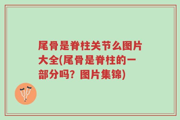 尾骨是脊柱关节么图片大全(尾骨是脊柱的一部分吗?图片集锦)-第1张图片-超越 尾骨是脊柱关节么图片大全(尾骨是脊柱的一部分吗?图片集锦)-第1张图片-超越