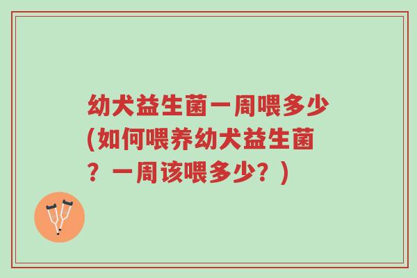 幼犬益生菌一周喂多少(如何喂养幼犬益生菌？一周该喂多少？)-第1张图片-超越