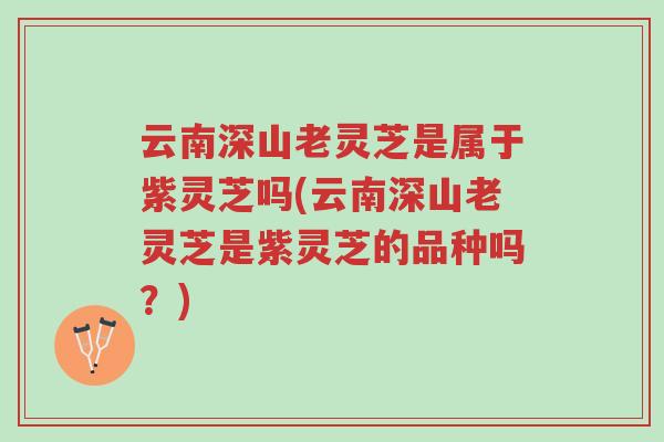 云南深山老灵芝是属于紫灵芝吗(云南深山老灵芝是紫灵芝的品种吗?)-第1张图片-超越 云南深山老灵芝是属于紫灵芝吗(云南深山老灵芝是紫灵芝的品种吗?)-第1张图片-超越