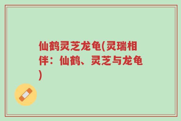 仙鹤灵芝龙龟(灵瑞相伴:仙鹤、灵芝与龙龟)-第1张图片-超越 仙鹤灵芝龙龟(灵瑞相伴:仙鹤、灵芝与龙龟)-第1张图片-超越