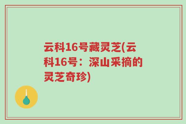 云科16号藏灵芝(云科16号:深山采摘的灵芝奇珍)-第1张图片-超越 云科16号藏灵芝(云科16号:深山采摘的灵芝奇珍)-第1张图片-超越