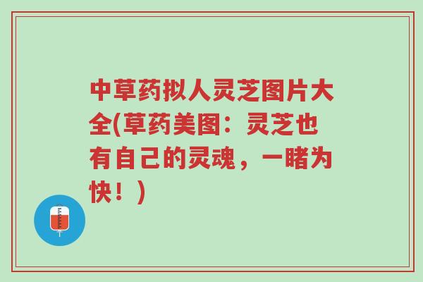 中草药拟人灵芝图片大全(草药美图:灵芝也有自己的灵魂,一睹为快!)-第1张图片-超越 中草药拟人灵芝图片大全(草药美图:灵芝也有自己的灵魂,一睹为快!)-第1张图片-超越