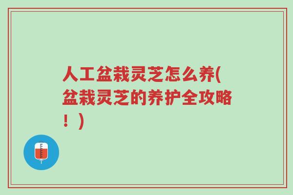 人工盆栽灵芝怎么养(盆栽灵芝的养护全攻略!)-第1张图片-超越 人工盆栽灵芝怎么养(盆栽灵芝的养护全攻略!)-第1张图片-超越