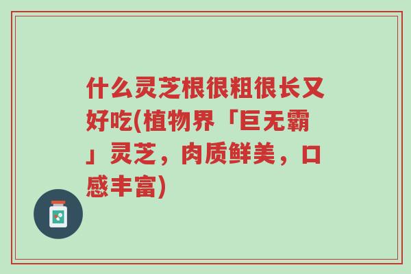什么灵芝根很粗很长又好吃(植物界「巨无霸」灵芝，肉质鲜美，口感丰富)-第1张图片-超越