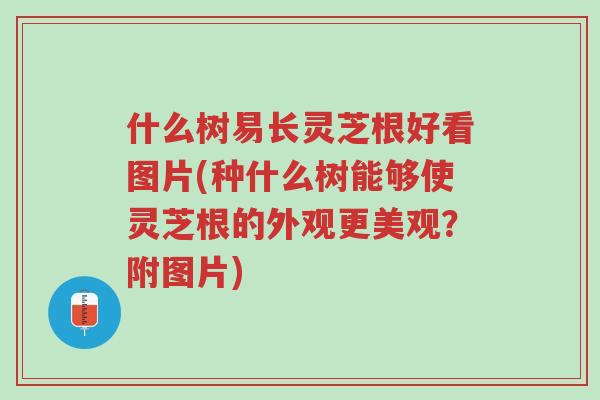 什么树易长灵芝根好看图片(种什么树能够使灵芝根的外观更美观?附图片)-第1张图片-超越 什么树易长灵芝根好看图片(种什么树能够使灵芝根的外观更美观?附图片)-第1张图片-超越