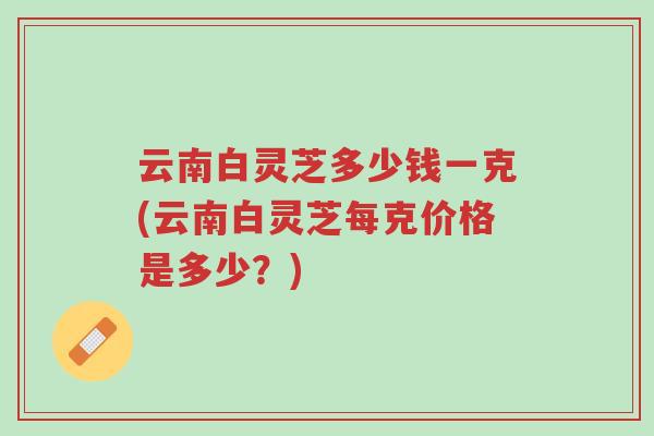云南白灵芝多少钱一克(云南白灵芝每克价格是多少?)-第1张图片-超越 云南白灵芝多少钱一克(云南白灵芝每克价格是多少?)-第1张图片-超越