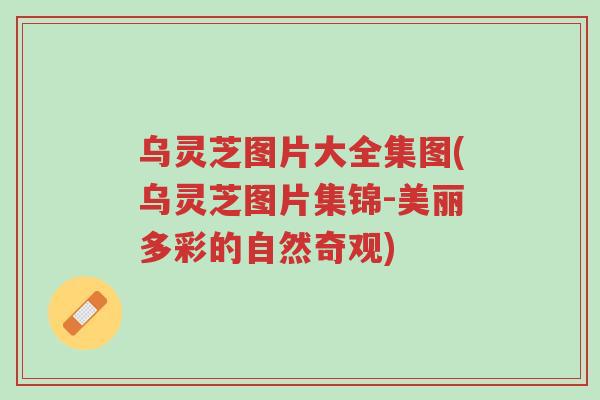 乌灵芝图片大全集图(乌灵芝图片集锦-美丽多彩的自然奇观)-第1张图片-超越