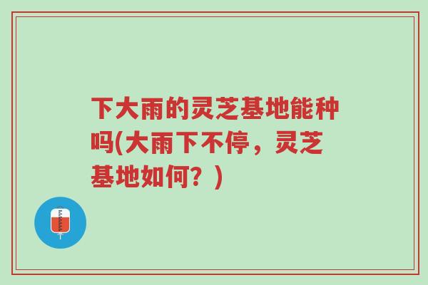下大雨的灵芝基地能种吗(大雨下不停,灵芝基地如何?)-第1张图片-超越 下大雨的灵芝基地能种吗(大雨下不停,灵芝基地如何?)-第1张图片-超越