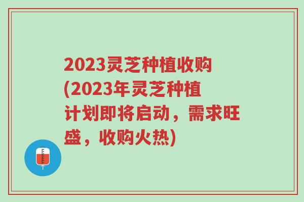 2023灵芝种植收购(2023年灵芝种植计划即将启动,需求旺盛,收购火热)-第1张图片-超越 2023灵芝种植收购(2023年灵芝种植计划即将启动,需求旺盛,收购火热)-第1张图片-超越