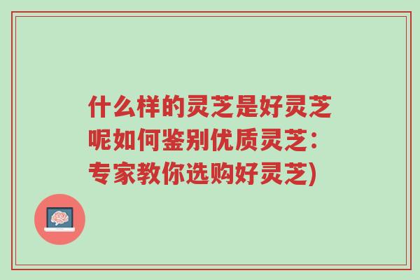 什么样的灵芝是好灵芝呢如何鉴别优质灵芝:专家教你选购好灵芝)-第1张图片-超越 什么样的灵芝是好灵芝呢如何鉴别优质灵芝:专家教你选购好灵芝)-第1张图片-超越