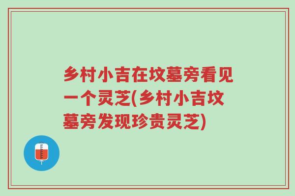 乡村小吉在坟墓旁看见一个灵芝(乡村小吉坟墓旁发现珍贵灵芝)-第1张图片-超越 乡村小吉在坟墓旁看见一个灵芝(乡村小吉坟墓旁发现珍贵灵芝)-第1张图片-超越