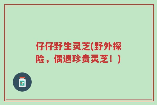 仔仔野生灵芝(野外探险,偶遇珍贵灵芝!)-第1张图片-超越 仔仔野生灵芝(野外探险,偶遇珍贵灵芝!)-第1张图片-超越