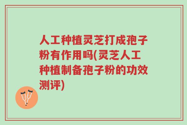 人工种植灵芝打成孢子粉有作用吗(灵芝人工种植制备孢子粉的功效测评)-第1张图片-超越 人工种植灵芝打成孢子粉有作用吗(灵芝人工种植制备孢子粉的功效测评)-第1张图片-超越