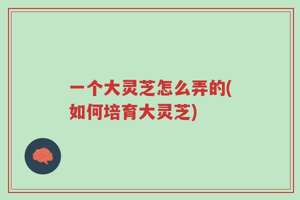 一个大灵芝怎么弄的(如何培育大灵芝)-第1张图片-超越 一个大灵芝怎么弄的(如何培育大灵芝)-第1张图片-超越