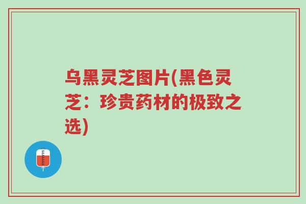 乌黑灵芝图片(黑色灵芝:珍贵药材的极致之选)-第1张图片-超越 乌黑灵芝图片(黑色灵芝:珍贵药材的极致之选)-第1张图片-超越