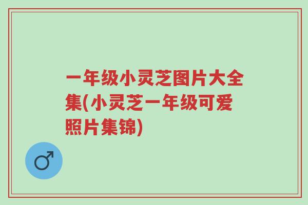 一年级小灵芝图片大全集(小灵芝一年级可爱照片集锦)-第1张图片-超越 一年级小灵芝图片大全集(小灵芝一年级可爱照片集锦)-第1张图片-超越