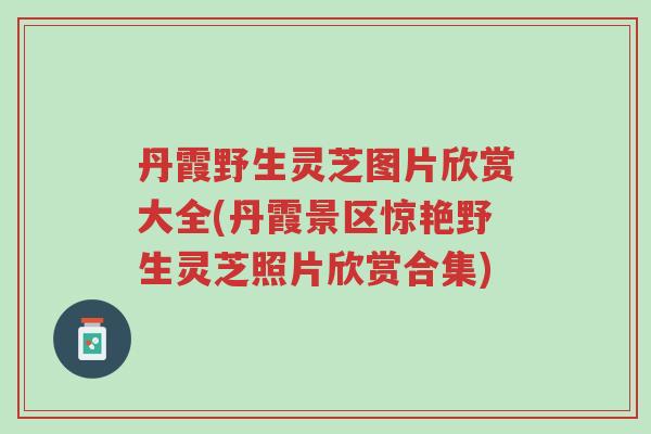 丹霞野生灵芝图片欣赏大全(丹霞景区惊艳野生灵芝照片欣赏合集)-第1张图片-超越 丹霞野生灵芝图片欣赏大全(丹霞景区惊艳野生灵芝照片欣赏合集)-第1张图片-超越