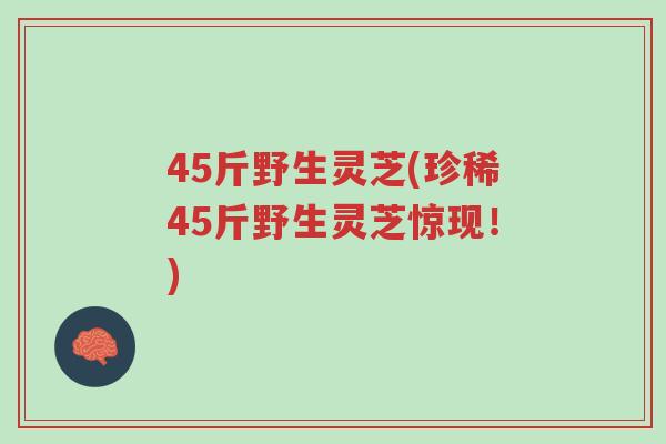45斤野生灵芝(珍稀45斤野生灵芝惊现!)-第1张图片-超越 45斤野生灵芝(珍稀45斤野生灵芝惊现!)-第1张图片-超越