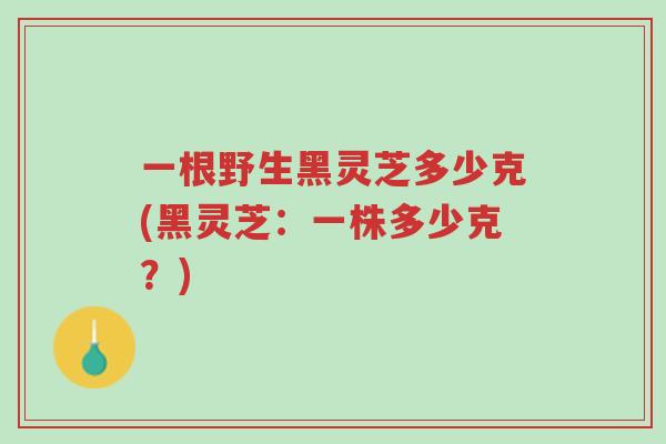 一根野生黑灵芝多少克(黑灵芝:一株多少克?)-第1张图片-超越 一根野生黑灵芝多少克(黑灵芝:一株多少克?)-第1张图片-超越