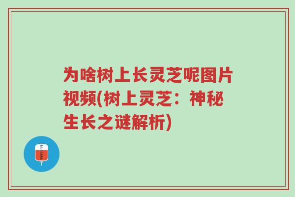 为啥树上长灵芝呢图片视频(树上灵芝:神秘生长之谜解析)-第1张图片-超越 为啥树上长灵芝呢图片视频(树上灵芝:神秘生长之谜解析)-第1张图片-超越