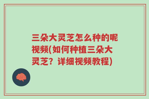 三朵大灵芝怎么种的呢视频(如何种植三朵大灵芝?详细视频教程)-第1张图片-超越 三朵大灵芝怎么种的呢视频(如何种植三朵大灵芝?详细视频教程)-第1张图片-超越