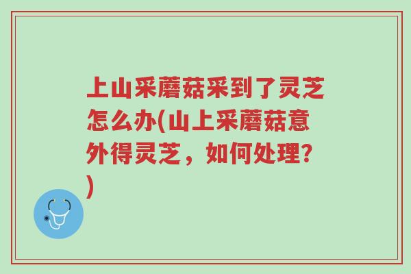 上山采蘑菇采到了灵芝怎么办(山上采蘑菇意外得灵芝,如何处理?)-第1张图片-超越 上山采蘑菇采到了灵芝怎么办(山上采蘑菇意外得灵芝,如何处理?)-第1张图片-超越