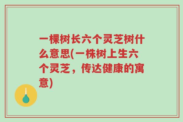 一棵树长六个灵芝树什么意思(一株树上生六个灵芝,传达健康的寓意)-第1张图片-超越 一棵树长六个灵芝树什么意思(一株树上生六个灵芝,传达健康的寓意)-第1张图片-超越