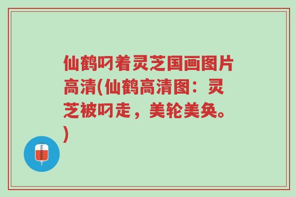 仙鹤叼着灵芝国画图片高清(仙鹤高清图:灵芝被叼走,美轮美奂。)-第1张图片-超越 仙鹤叼着灵芝国画图片高清(仙鹤高清图:灵芝被叼走,美轮美奂。)-第1张图片-超越